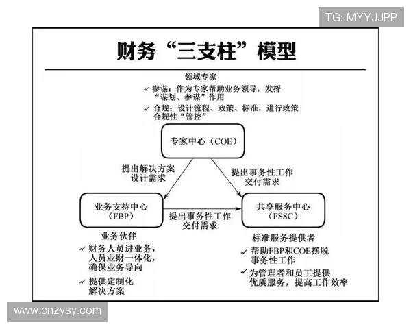 北京乒乓球队转型之路的挑战与机遇全面解析